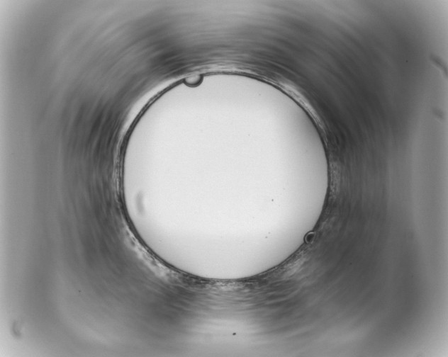 X0000102251148200808151811