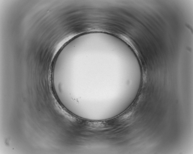 X0000102251149200808151811