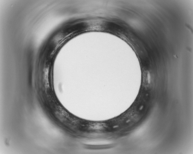 X0000102251150200808151811