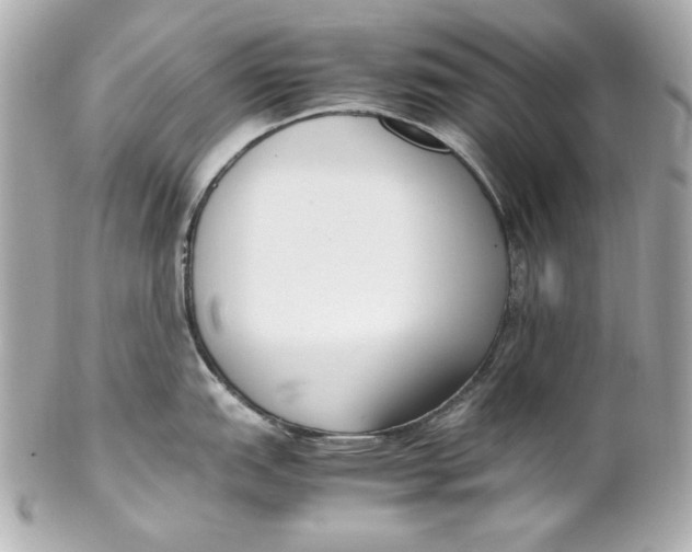 X0000102251151200808151811