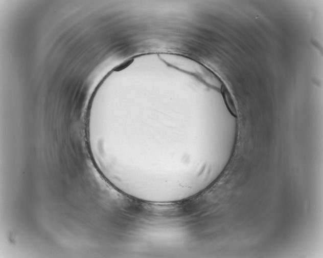 X0000102251152200808151811