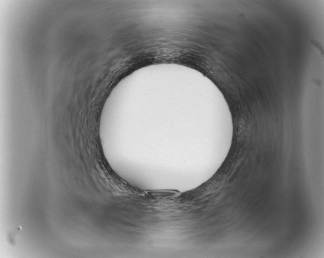 X0000102251153200808151810