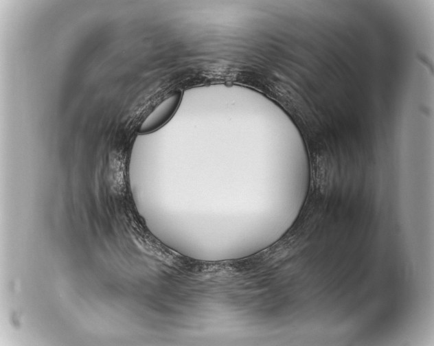 X0000102251154200808151810