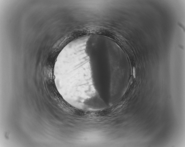 X0000102251155200808151810