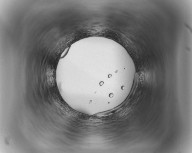 X0000102251156200808151810