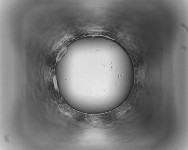 X0000102251157200808151810