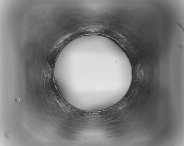 X0000102251158200808151810