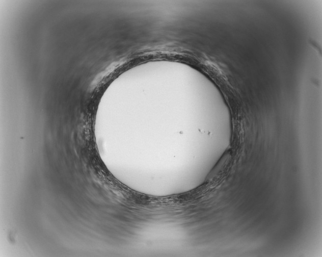 X0000102251159200808151810