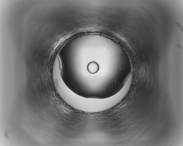 X0000102251160200808151810