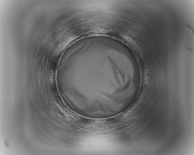 X0000102251161200808151810