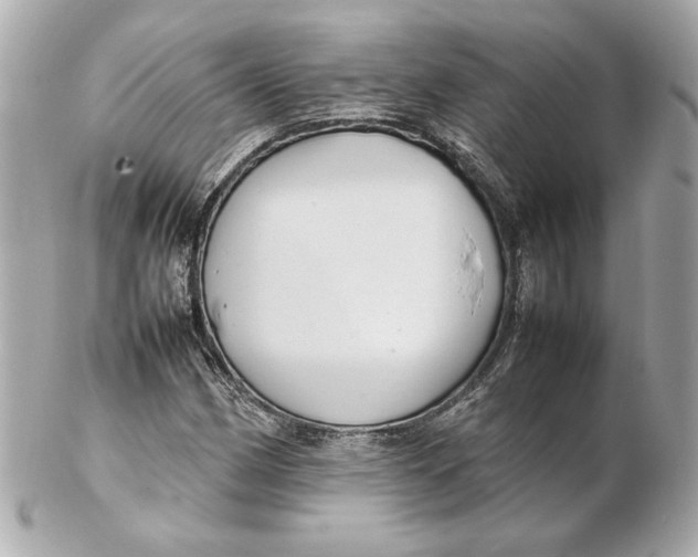 X0000102251162200808151810