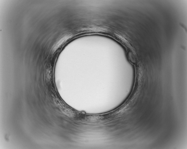 X0000102251163200808151810