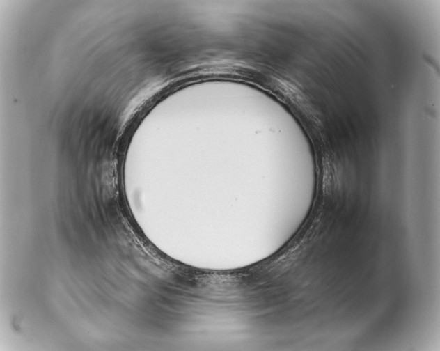 X0000102251164200808151810