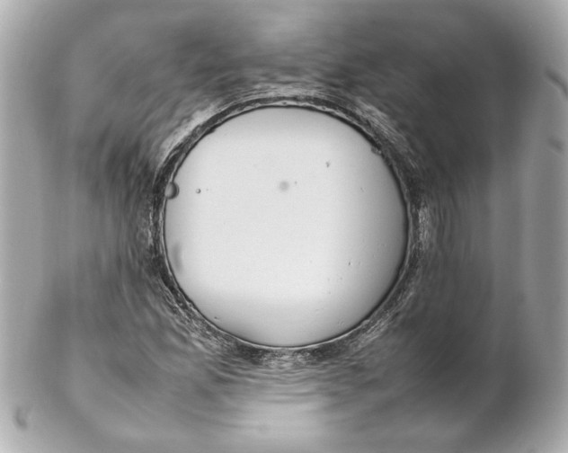 X0000102251165200808151810