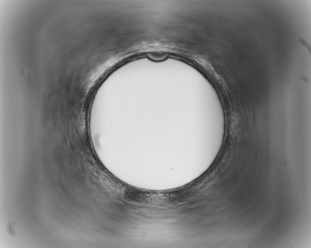 X0000102251167200808151810