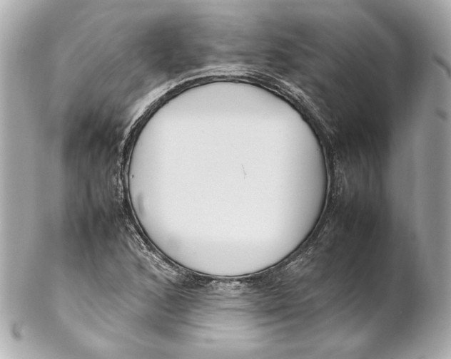 X0000102251168200808151810