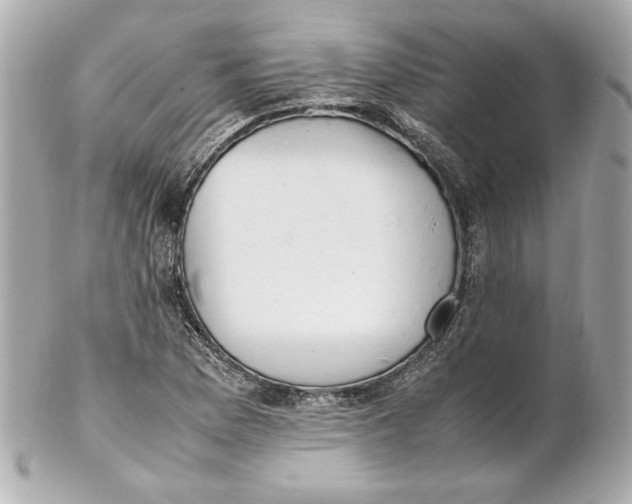 X0000102251169200808151810