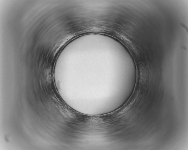 X0000102251170200808151810