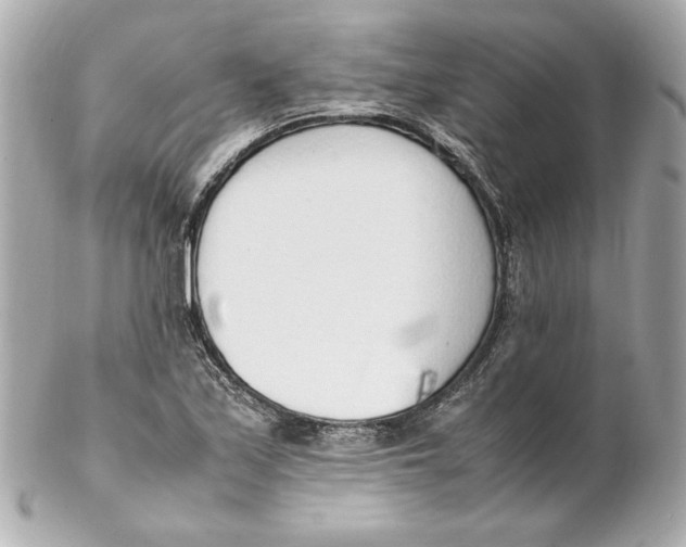 X0000102251171200808151810