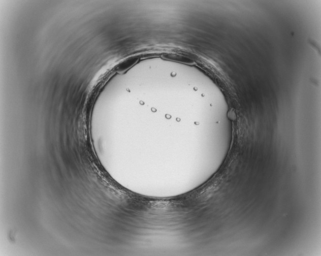 X0000102251172200808151810