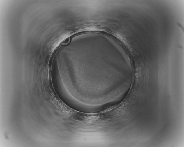 X0000102251173200808151810