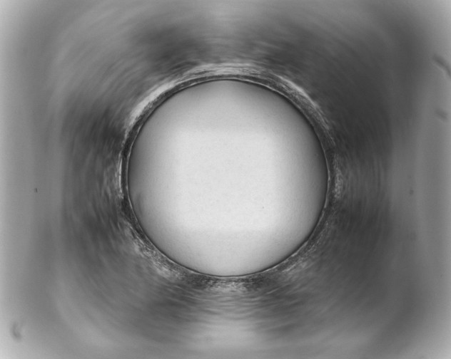 X0000102251174200808151810