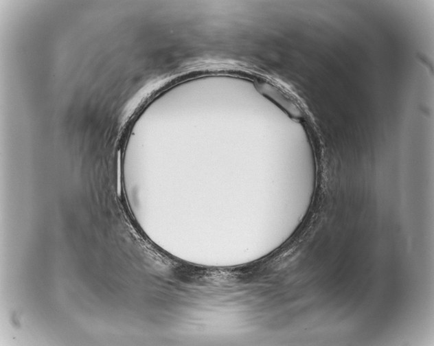 X0000102251175200808151810