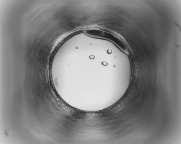 X0000102251176200808151810