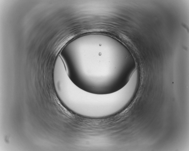 X0000102251177200808151810