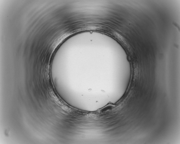 X0000102251178200808151810