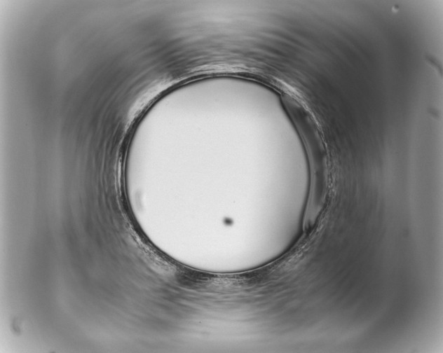 X0000102251179200808151810