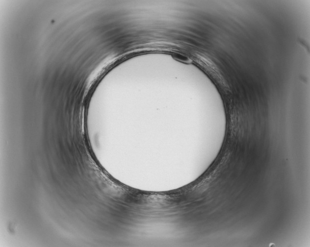 X0000102251180200808151810