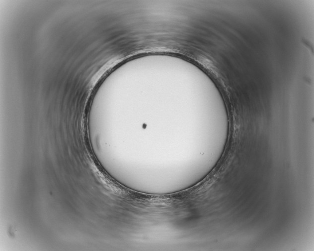 X0000102251181200808151810