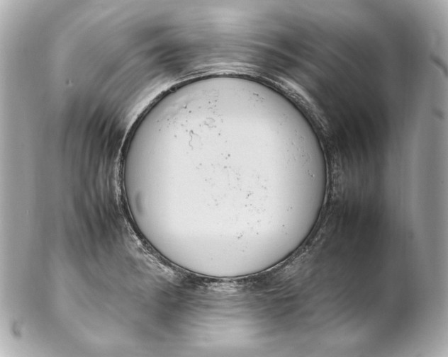 X0000102251182200808151810