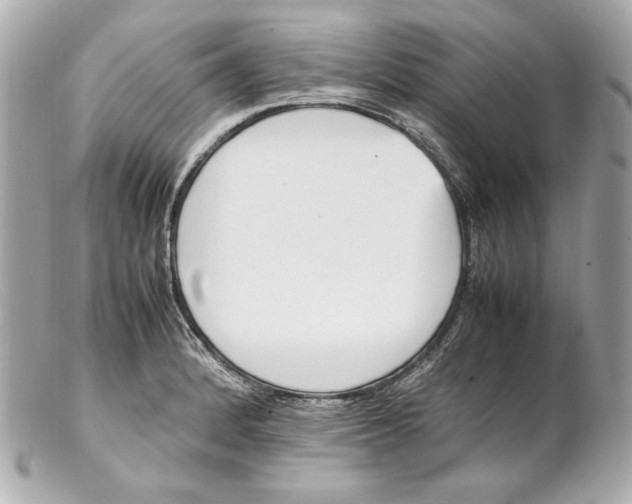 X0000102251184200808151810