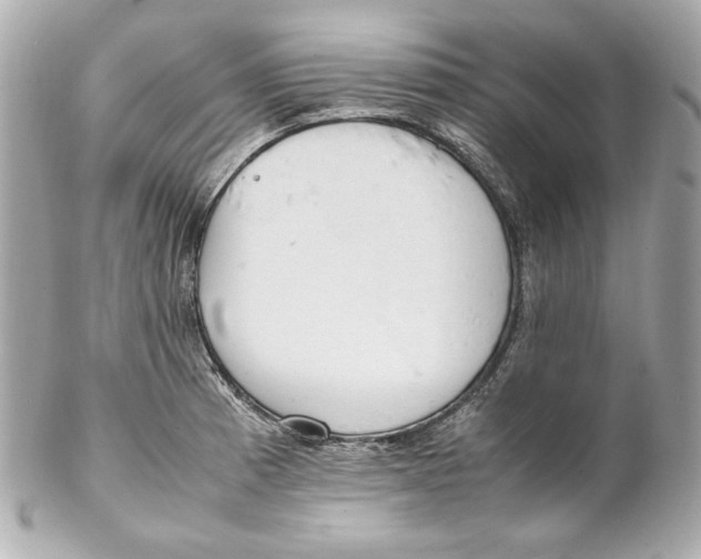 X0000102251185200808151810