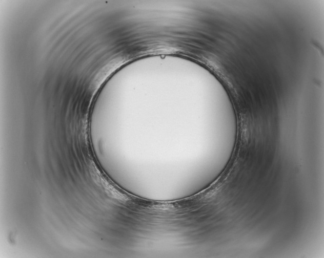 X0000102251186200808151810