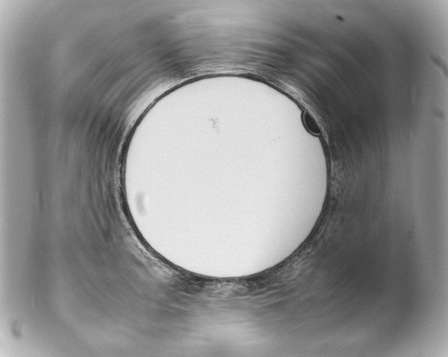 X0000102251187200808151810