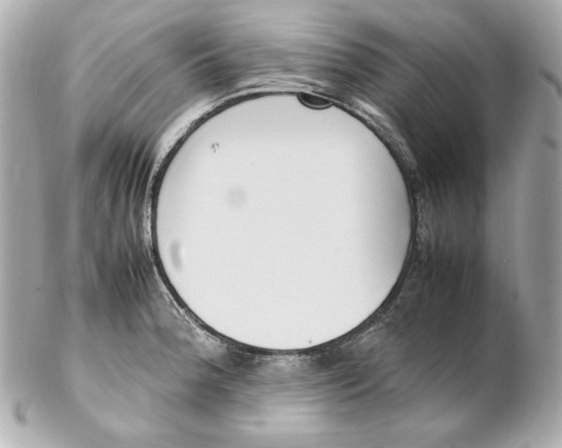 X0000102251188200808151810