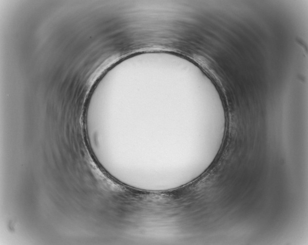 X0000102251189200808151810