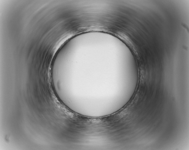 X0000102251190200808151810