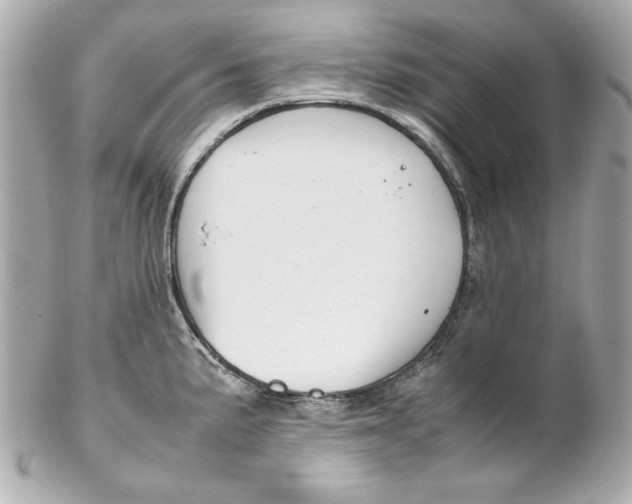 X0000102251191200808151810