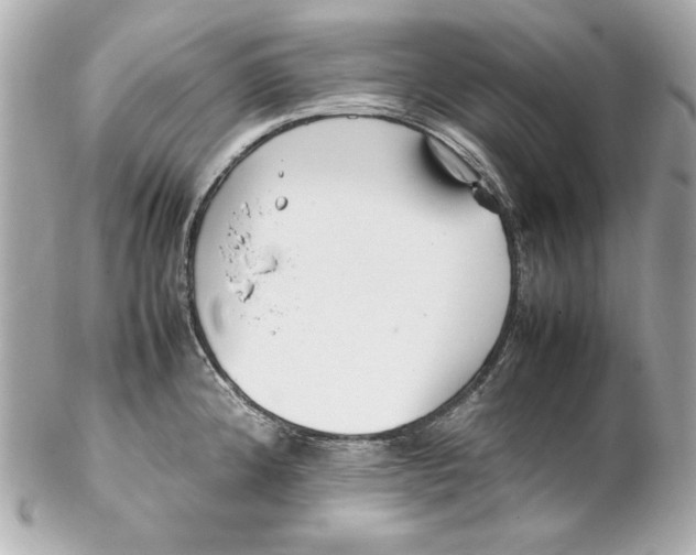 X0000102251192200808151810