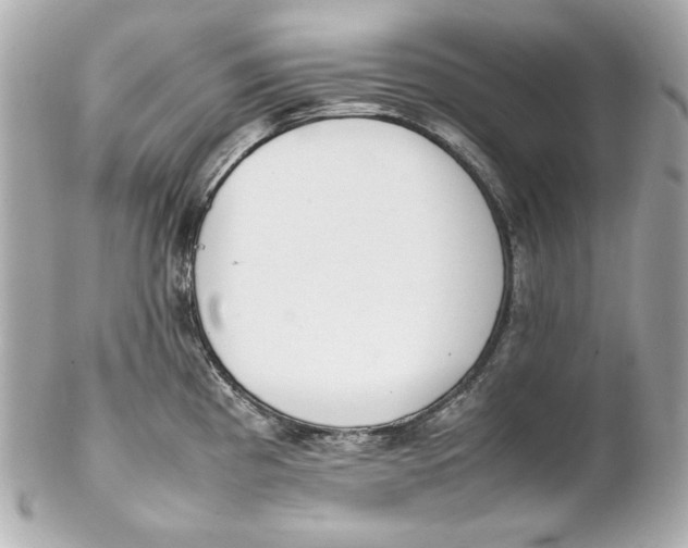 X0000102251193200808151810