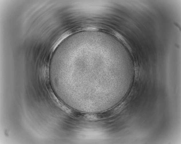 X0000102251194200808151810