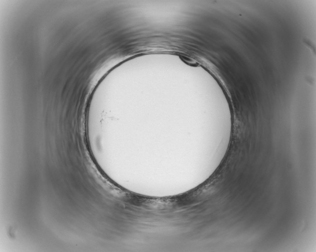 X0000102251195200808151810