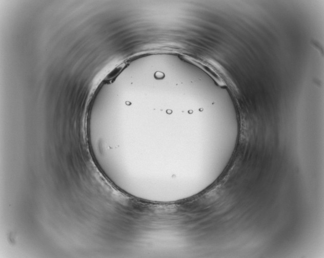 X0000102251196200808151810