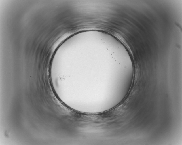 X0000102251197200808151810