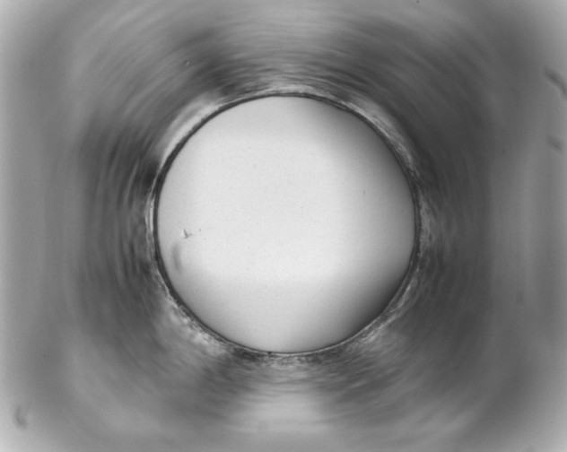 X0000102251198200808151810