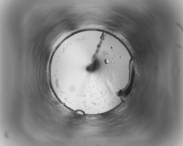 X0000102251199200808151810